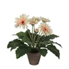 Umetna gerbera, krem