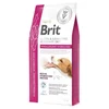 BRIT hipoalergena veterinarna hrana za odrasle pse Veterinary Diets GF dog Hypoallergenic Hydrolyzed, 12kg