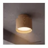 Brilagi - Ugradni spot BACKLIT 1xGX53/15W/230V, prečnik 8 cm, u dekoru hrasta