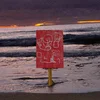 Arbes - Counterways (Limited Edition) (Sea Blue Transparent Coloured) (LP)