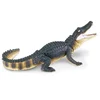 Safari Aligator