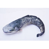 Riba - igrača GABY The Catfish 115 cm - som | GP-175167