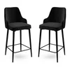 Hanah Home Set 2 barske stolice Crni