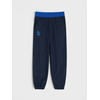 Sinsay - Planinarske pantalone Active - mornarsko