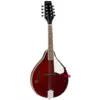 Tanglewood TWM T WR Union Dark Wine mandolina