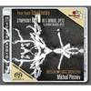 TCHAIKOVSKY:SYMPHONY NO.1/PLETENEV