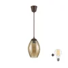 Brilagi - LED luster na sajli R GLASS 1xE27/60W/230V prečnik 17 cm braon/zadimljeno bež