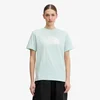 The North Face EVOLUTION HALF DOME RELAXED SHORT