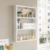 HANAH HOME PR1 W