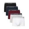 Guess Komplet boksaric? U4YG16 K6YW1 Pisana