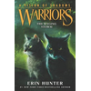 Warriors: A Vision of Shadows #6: The Raging Storm