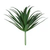 Lilium aloe vera pik 9*15cm 560169