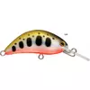 Rapture Hot Bean Area 40mm 3.5gr YMR