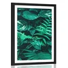 Plakat s paspartujem sveži tropski listi - 30x45 silver