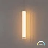 Milagro Milagro Trivia Chrome viseča svetilka, 10 W LED CCT IP44