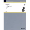 RODE P:24 CAPRICES VIOLA