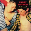Pansy Division - Deflowered (Limited Edition) (LP)