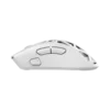 Miš White Shark MORIEN (WGM 5025) Gaming / 12000 DPI / Wireless / Bluetooth / USB / White