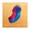 DADDARIO ASCENTE SET ZA VIOLINO 3/4 MEDIUM
