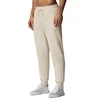 Castore donji deo cotton fleece jogger za muškarce
