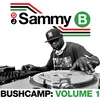 DJ Sammy B - Bushcamp: Volume 1 (LP)