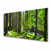 tulup.si Slika na steklu Narava rastlin forest trees 140x70 cm 4 obešalnika