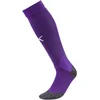 Puma Nogavice Team LIGA Socks