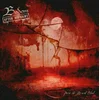Bodom After Midnight Paint The Sky With Blood (10 Vinyl) Omejena izdaja