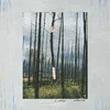 S. Carey - Watercress (EP)