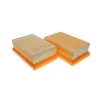 VACS Hepa filter KÄRCHER WD 5 P - 2 kom