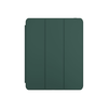 NEXT ONE RollCase for iPad Pro 11 M4 GREEN