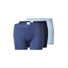 Polo Ralph Lauren Boksarice marine/safir/svetlo modra