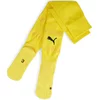 Nogavice Puma teamFINAL Socks