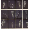 Don Caballero - Don Caballero 2 (2 LP)