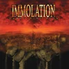 Immolation - Harnessing Ruin (Limited Edition) (Trans Red/ Black Marble Coloured) (LP)