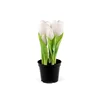 Umetni tulipani v lončku - (21cm) beli