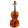 violina PAGANINI GENOVA 4/4