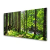 tulup.si Slika na akrilnem steklu Narava rastlin forest trees 120x60 cm 2 obešalnika