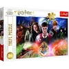TREFL Puzzle za decu Mysterious Harry Potter 23001 - 300 delova