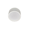 LED stropna svetiljka PERCI LED/30W/230V IP40 4000K bela