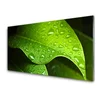 tulup.si Steklena slika Dew drops leaf 140x70 cm 4 obešalnika