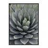 shumee PLAKAT V OKVIRJU 53x73 cm Listi P1040