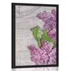 Plakat rože španskega bezga na platnu - 20x30 white