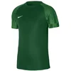 Jersey Nike Dri-FIT Academy