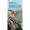 Birds of Greece