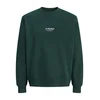 JACK & JONES Majica JJESoho temno zelena / bela