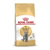 Royal Canin Royal Canin British Shorthair Adult mačke suha hrana 4 kg