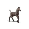 Schleich 81460 - Horse Club - Darcy - Žrebiček za zbiranje - 1 k.
