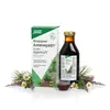 SALUS Alpenkraft sirup 250ml