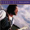 Buddy Guy - Feels Like Rain (Reissue) (180 g) (LP)